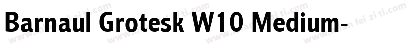 Barnaul Grotesk W10 Medium字体转换